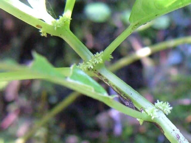 �R�~���}�~�Y