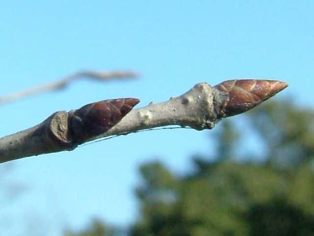 �J�X�~�U�N��