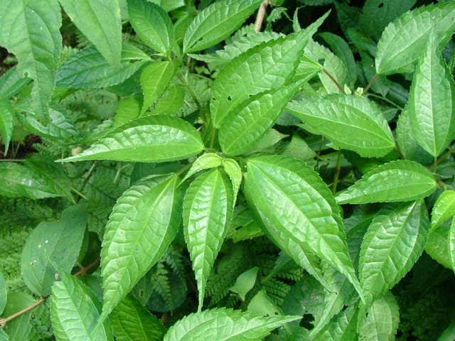 �R�~���}�~�Y