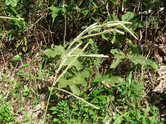 �^�`�X�Y���m�q�G