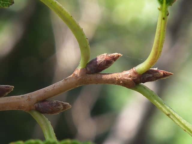 �T�N����