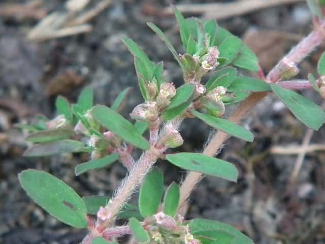 �R�j�V�L�\�E