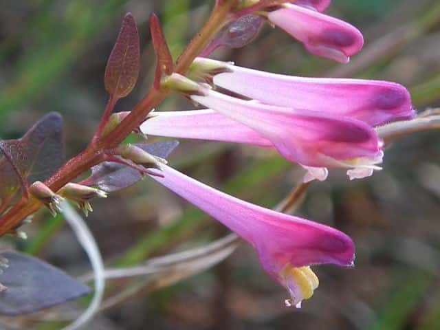 �~���}�}�}�R�i