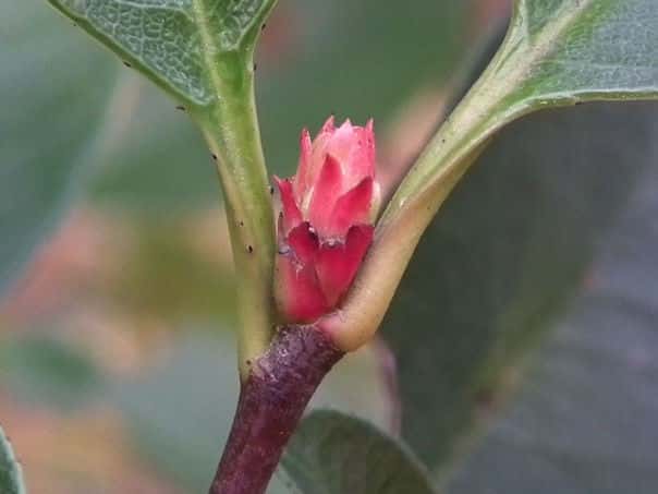 �J�i�����`