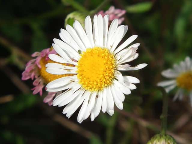 �y���y�������i