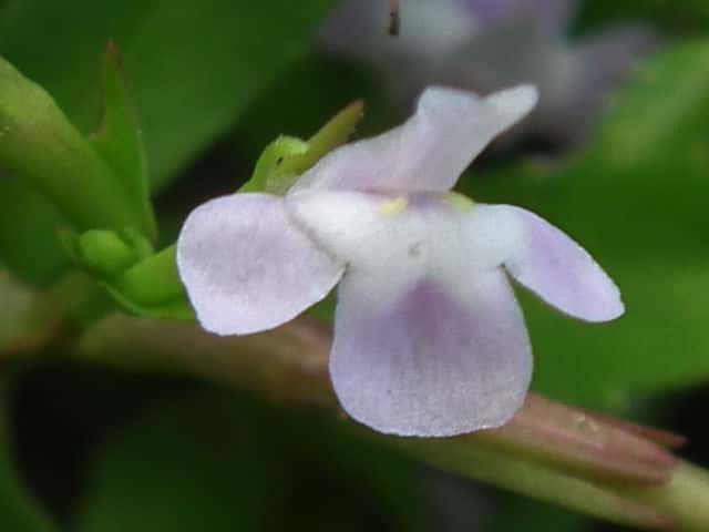 �G�_�E�`�X�Y���m�g�E�K���V