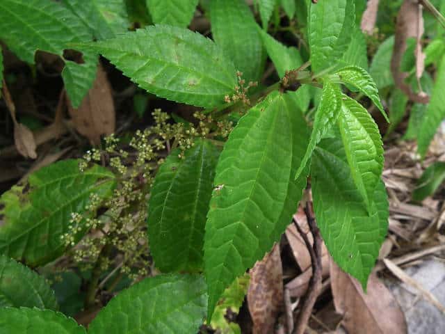 �R�~���}�~�Y