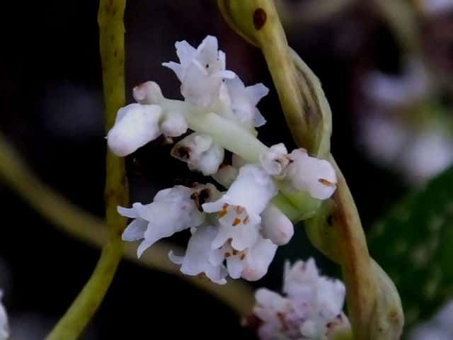 �l�i�V�J�Y��